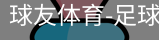 球友体育